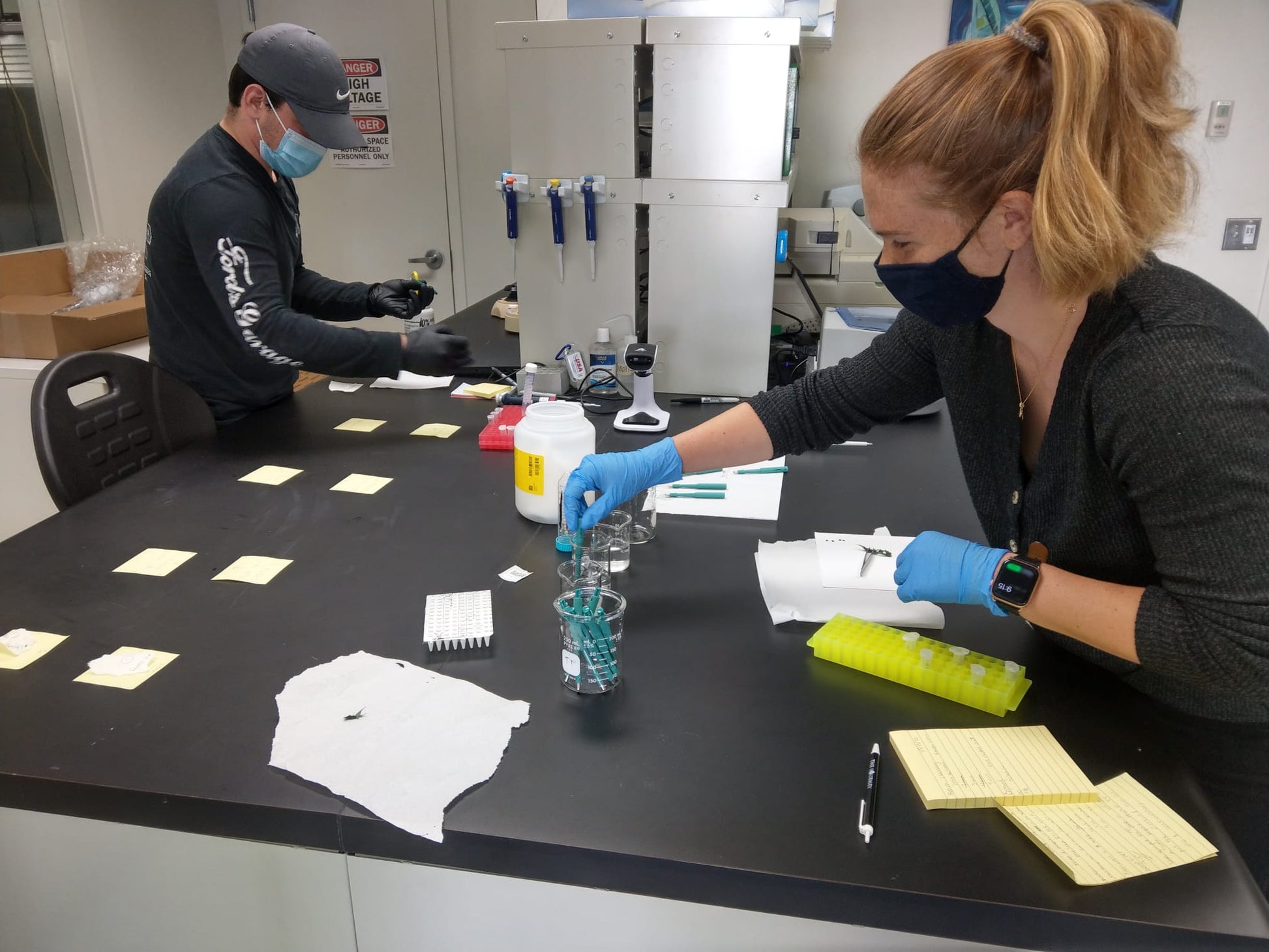 WE-Test for Genetic Targets - Verne Bioanalytics