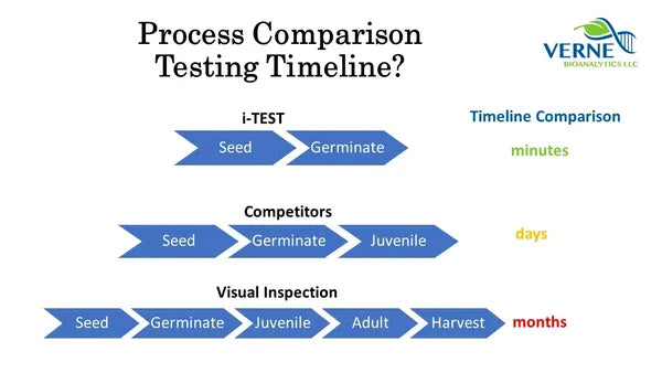 i-Test: You can run it
