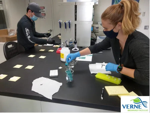WE-Test for Pathogens (Individual Target) - Verne Bioanalytics